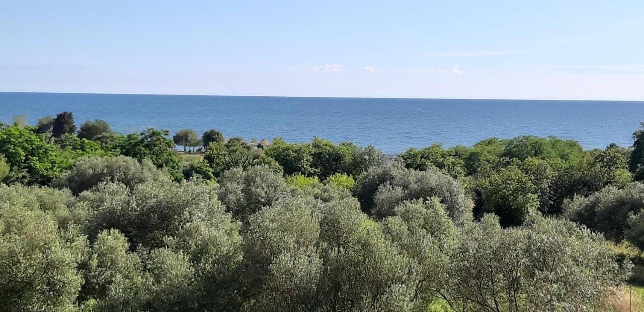 זמברטיה Apartment Istria מראה חיצוני תמונה